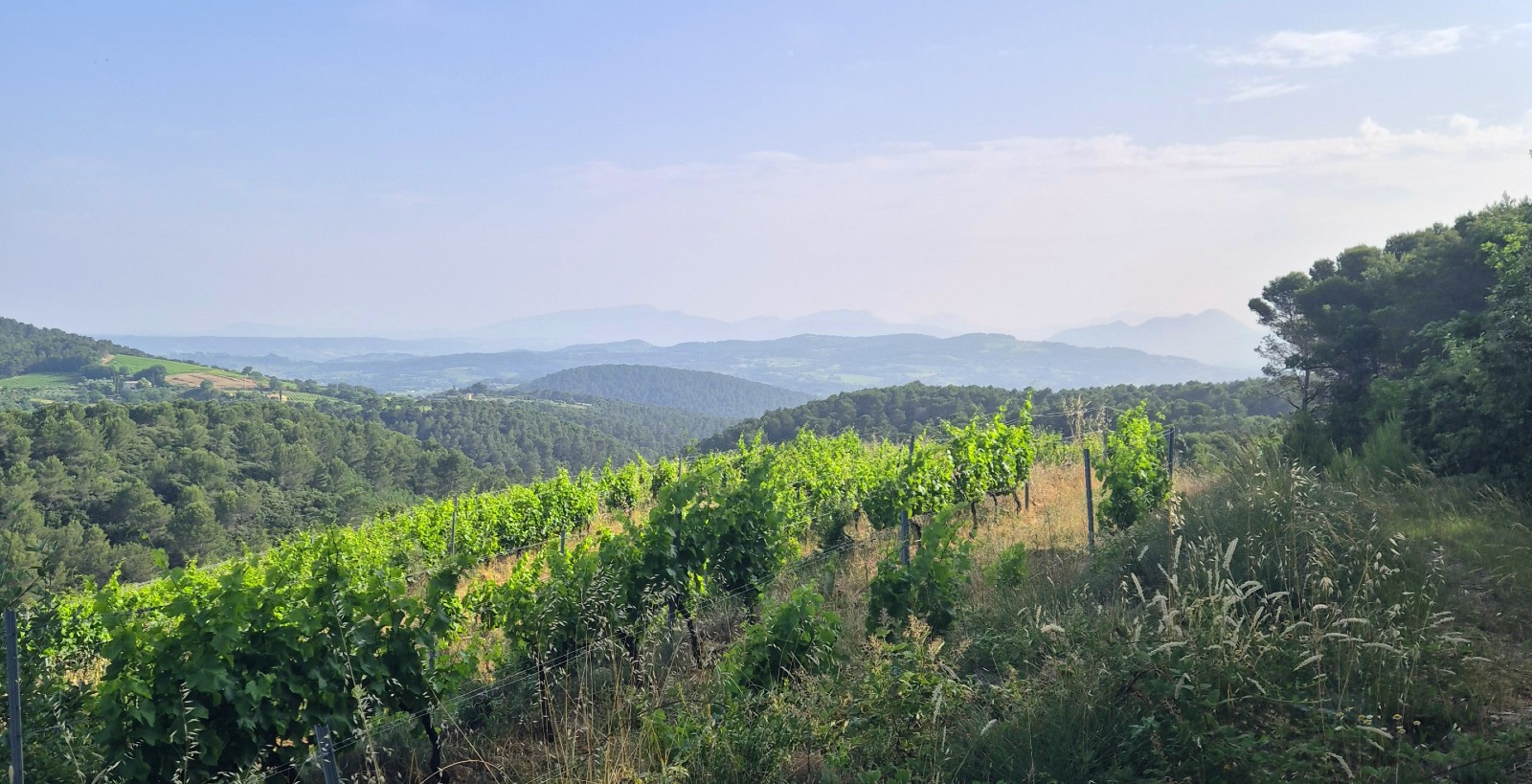 Weinberg Malmont Weinberg Malmont